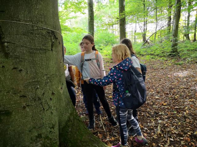 K640_Dem Wald mit allen Sinnen begegnen .JPG